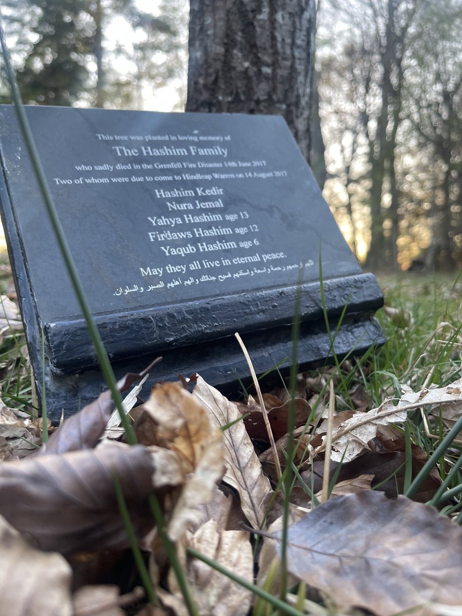 Eritrean Parents And Childrens Association tweet media