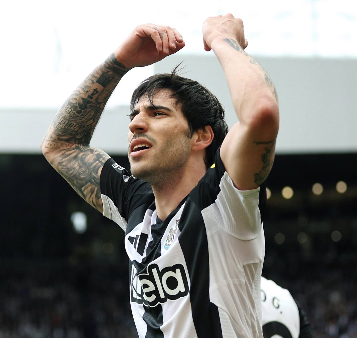 NUFCLC's tweet image. Bruno will always be my favourite, the first next level player we brought in and our first club winning captain in seven decades.
But this man, for me, is the most gifted midfielder I have ever seen play for this football club. Genuinely believe he is world class. 🇮🇹⚫️⚪️ #NUFC