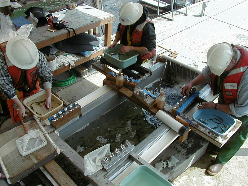 This Earth Month we’re proud of our Baker River Project &amp; the successful fish passage that continues to have more sockeye returns each year. Our partnership with local Tribes and government agencies is proving that clean energy and environmental stewardship can work hand in hand.