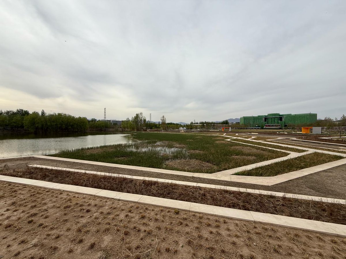 Asociacion Mexicana de Urbanistas AC tweet media