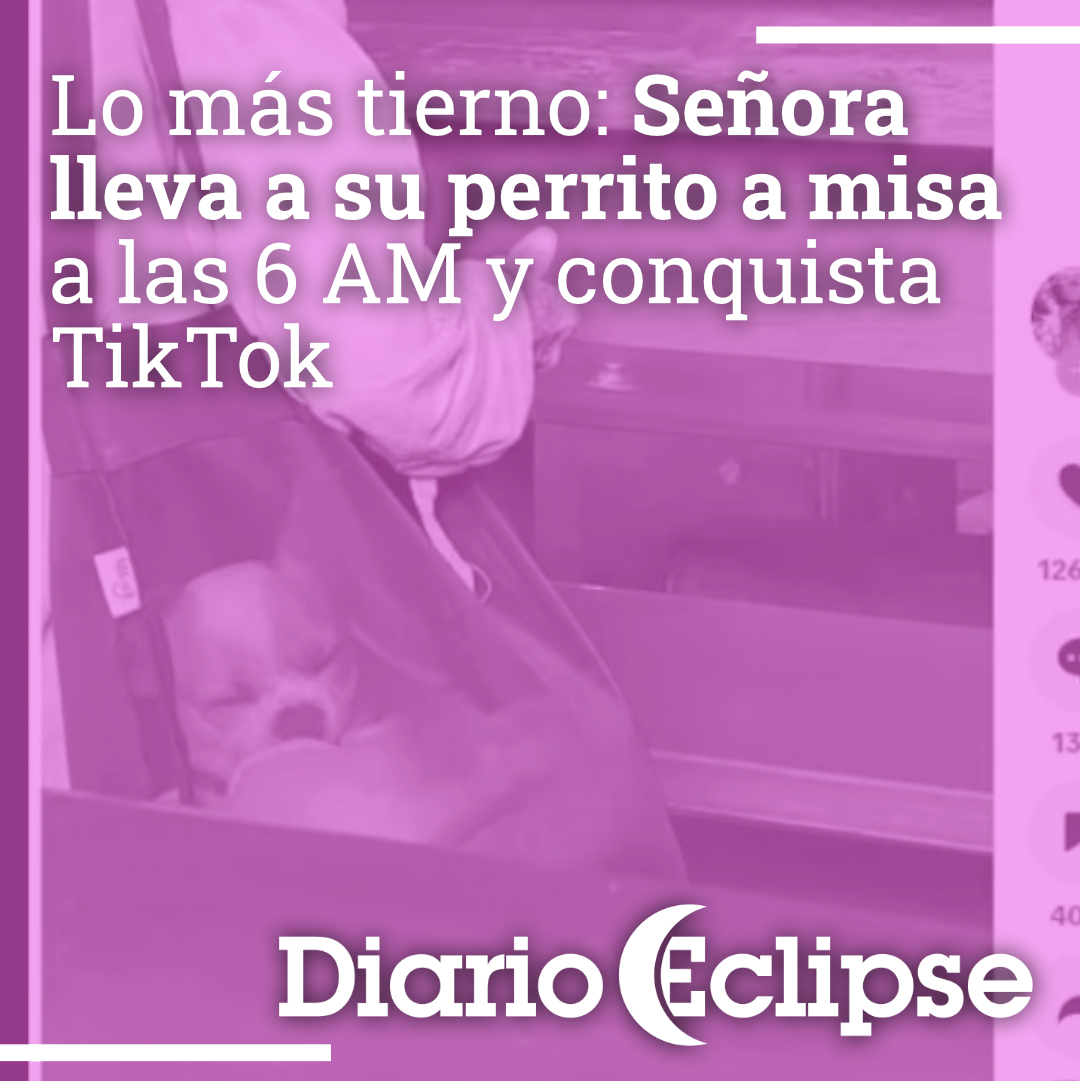 DiarioEclipse's tweet photo. 🐶⛪💖 La señora que llevó a su chihuahua a misa a las 6 AM acaba de conquistar TikTok

👀 Lee la nota completa aquí ⬇️
https://t.co/lPj3oYtZpU

#perritos #AmorAnimal #tiktokviral #misaconestilo #amorquenoseesconde #perrosgraciosos #perros https://t.co/f2sIt2N3Cg