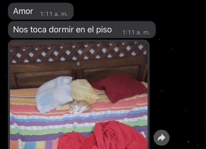 GenteChamuyando's tweet photo. https://t.co/h6yEJMGXq3