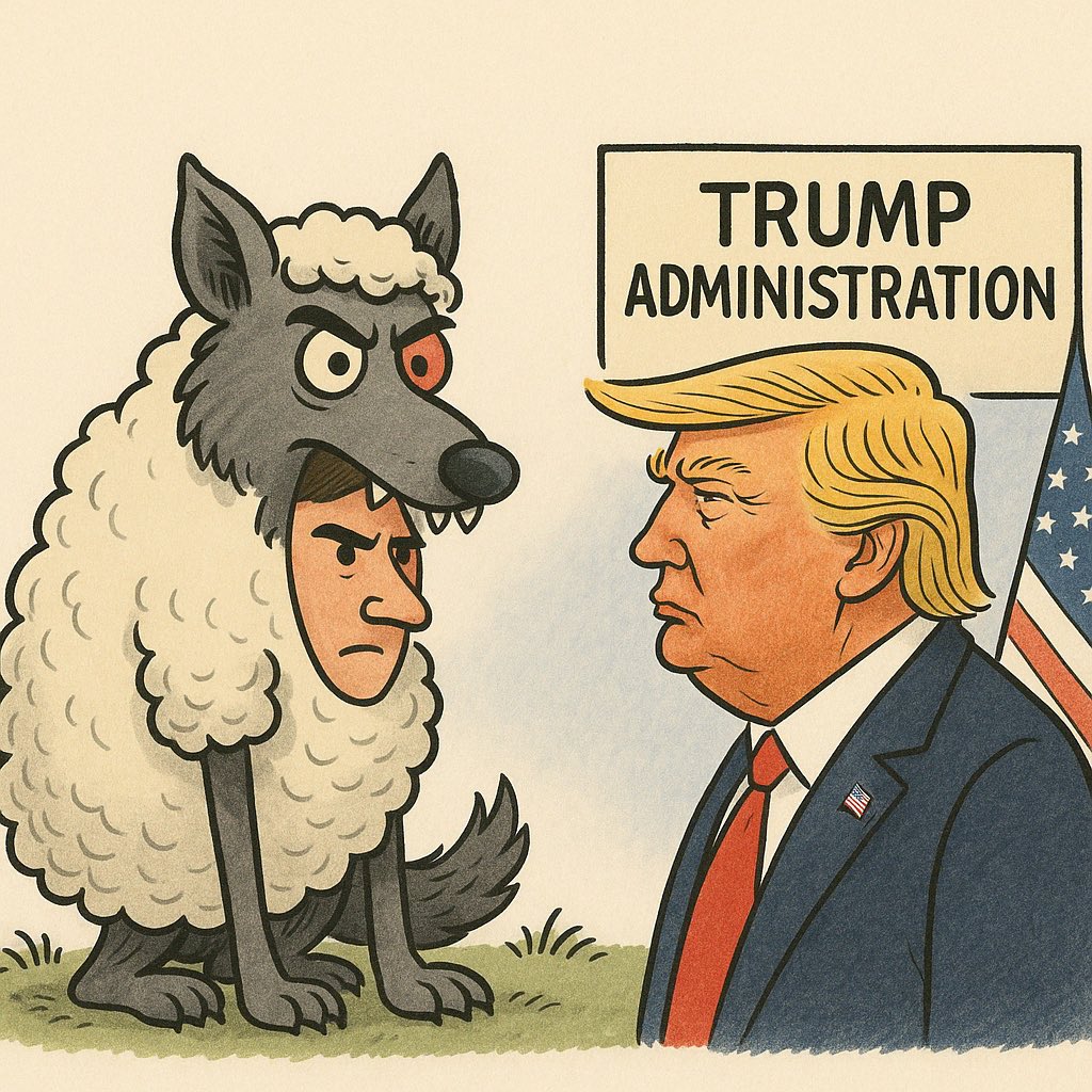 Laura Loomer tweet media