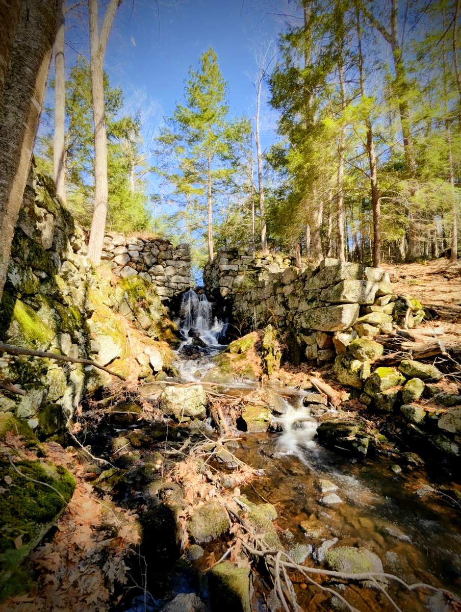 whitemts's tweet image. Looking for a spring stroll just south of the White Mountains? Pay a visit to the picturesque Page Pond Community Forest in Meredith, NH. 

🥾 Spring Walks in the Woods: whitemts.us/3XYO9Gs

📸 @colleeninthe603

#whitemountains #springwalks #lakesregionnh #visitnh