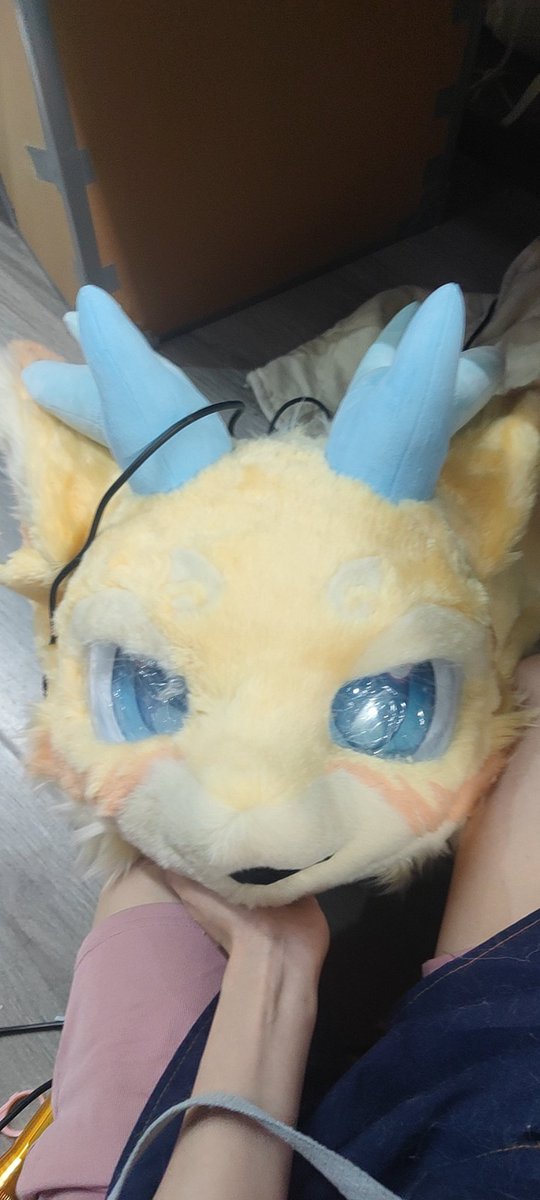 正在剃毛的孩子，因为最近在大扫除整理物品和添置家具所以做的慢慢的效率好低