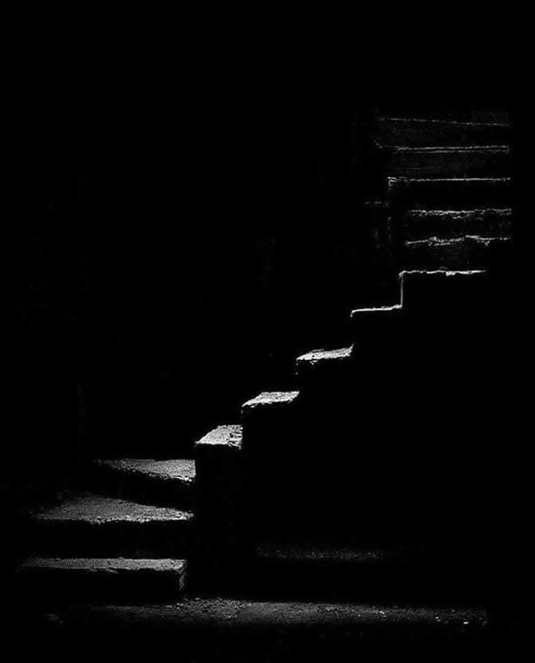 MajaSenda's tweet photo. © Peter Kertis https://t.co/fjdlVMtsja