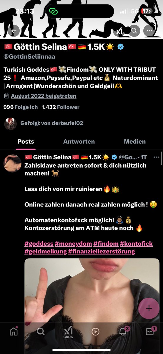 Benutzerin tweet media