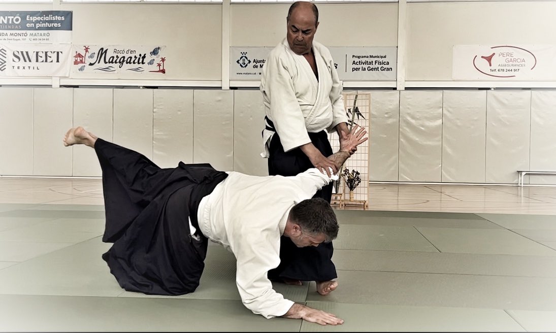nuriaiki's tweet photo. Algunos momentos del curso de #Aikido en Mataró con los maestros Manel Fernández y Enrique Tejero. https://t.co/xaiiqym5yE