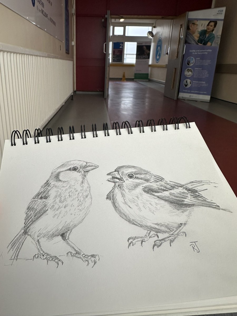 Trying to brush up on my sketching as I wait. Art really is therapeutic. Just an old HB pencil and notebook - you can see it getting blunter as I go!