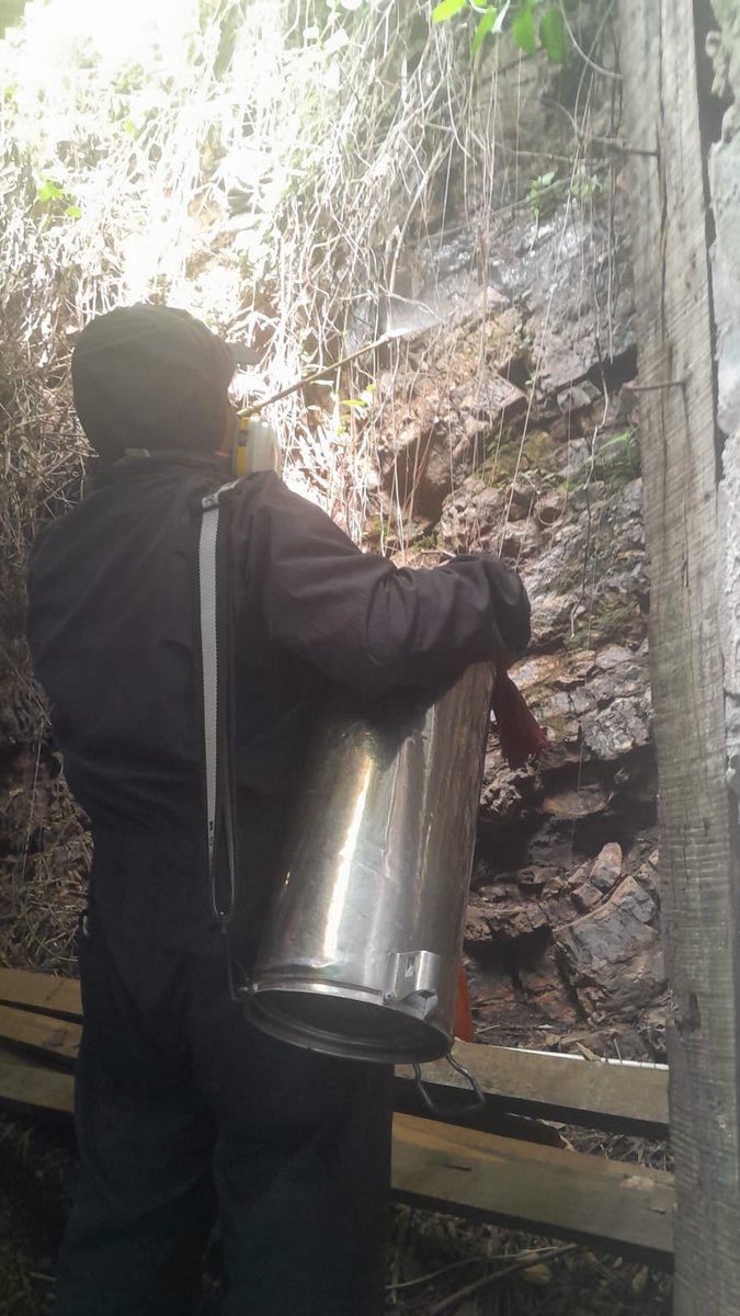 Salud_Guayas's tweet photo. #MSPEnTerritorio | #ControlVectorial del #Distrito09D04 de @Salud_Ec realiza dotación de mosquiteros impregnados con insecticida y control químico de triatominos, contra vector transmisor de enfermedad de chagas, así como el rocio en #CerroSantaAna. https://t.co/rXDMWCBoBV