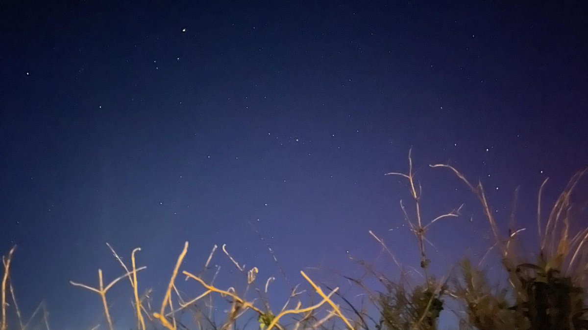 Aimsir TG4 ⚡ (@aimsirtg4) on Twitter photo Na Gealáin Thuaidh 🔭 Na Gealáin Thuaidh 🔭