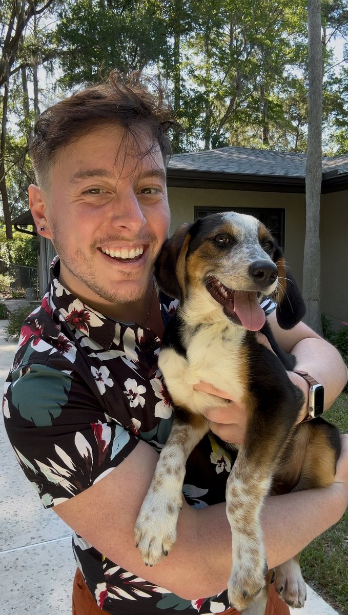 Thomas Sanders tweet media