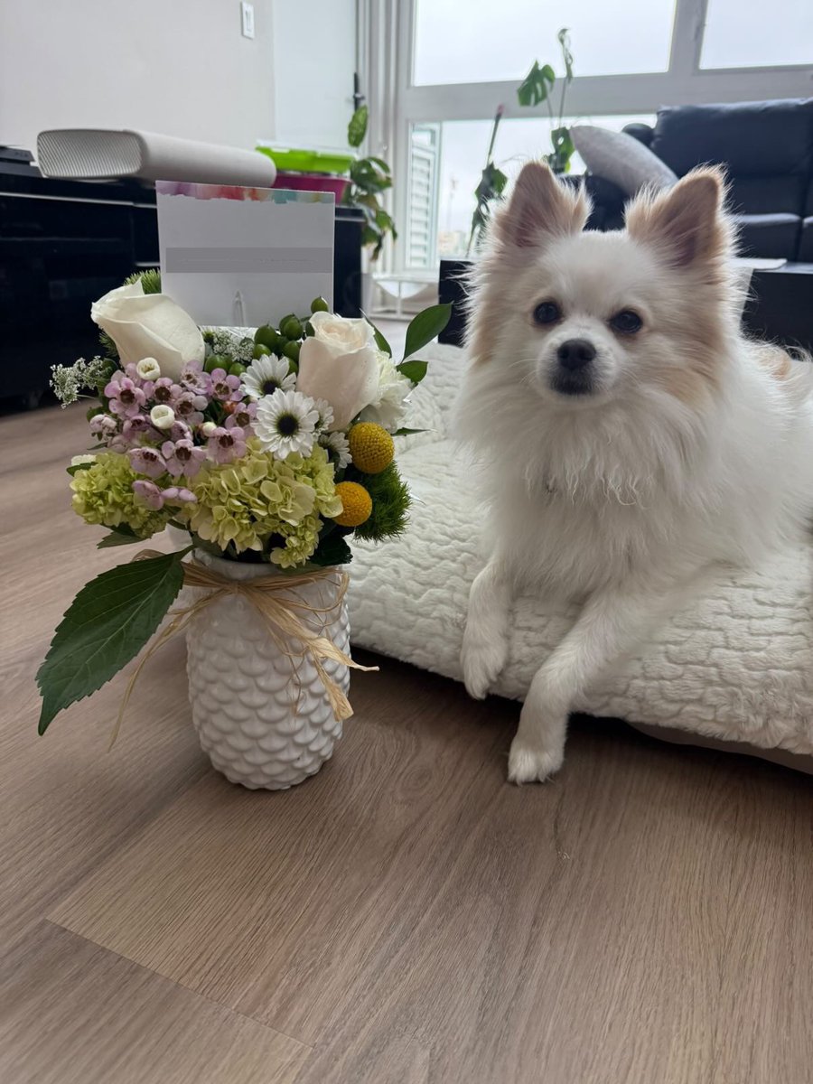 SendMeFlowers tweet media