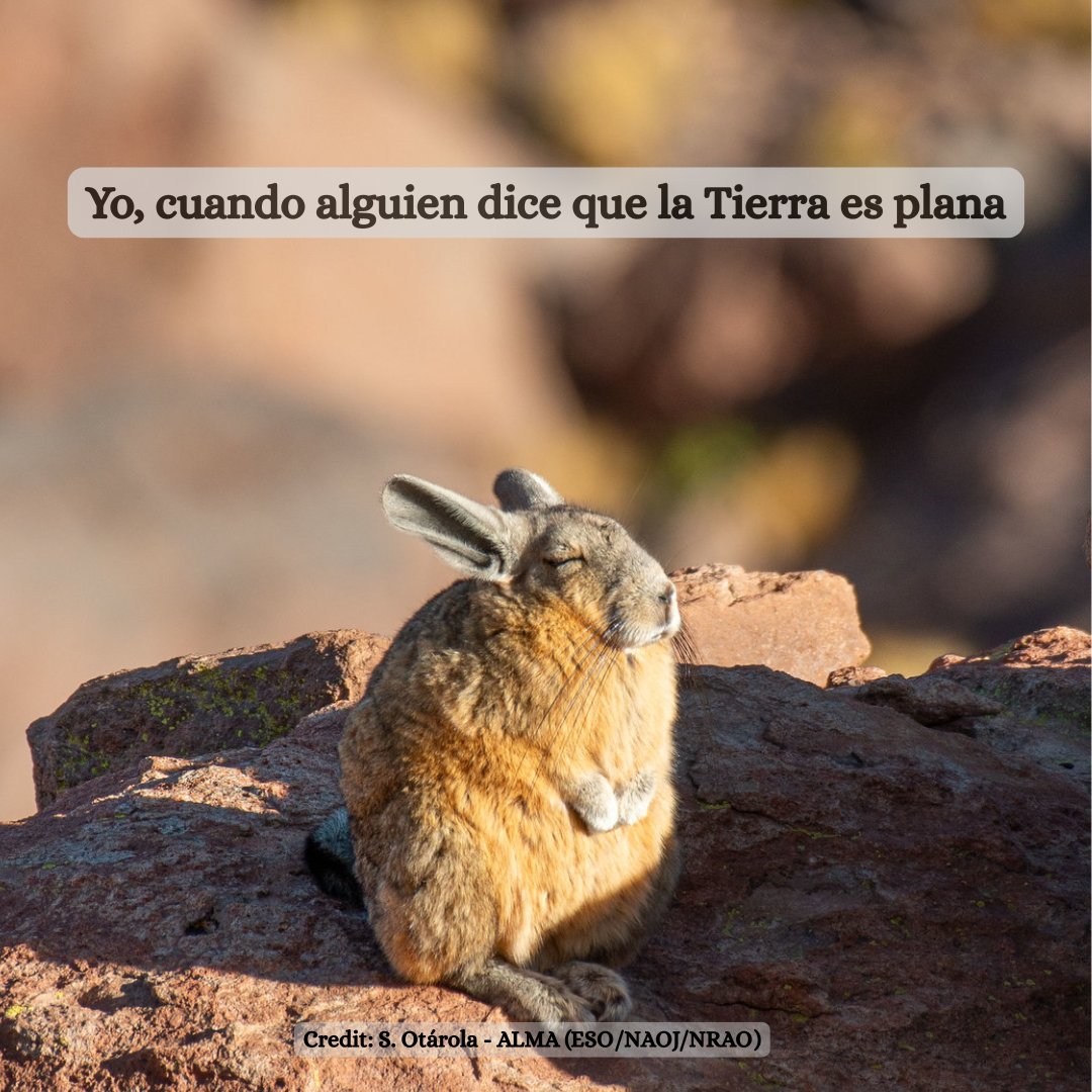 Observatorio ALMA📡 (@almaobs_esp) on Twitter photo 🐇Que la vizcacha cósmica que juzga esté contigo, siempre.
¿Qué más crees que tiene en mente?
📷: <a href="/_ansack/">Sergio Otarola</a> - ALMA (ESO/NAOJ/NRAO), ALMA Photo-ambassador 🐇Que la vizcacha cósmica que juzga esté contigo, siempre.
¿Qué más crees que tiene en mente?
📷: <a href="/_ansack/">Sergio Otarola</a> - ALMA (ESO/NAOJ/NRAO), ALMA Photo-ambassador
