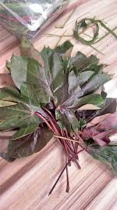 OlawaleOlanir12's tweet image. Iwe awenu to daju 

Get ewe iyalode funfun 41 

Ewe iyalode pupa 41 

Scrub with water enough for you ti bath 

once

And filter it 

You will use the soap 

To bath it on a bumpsite ( Lori akitan ) 

At night 

Retweet and like for the 

Soap making process