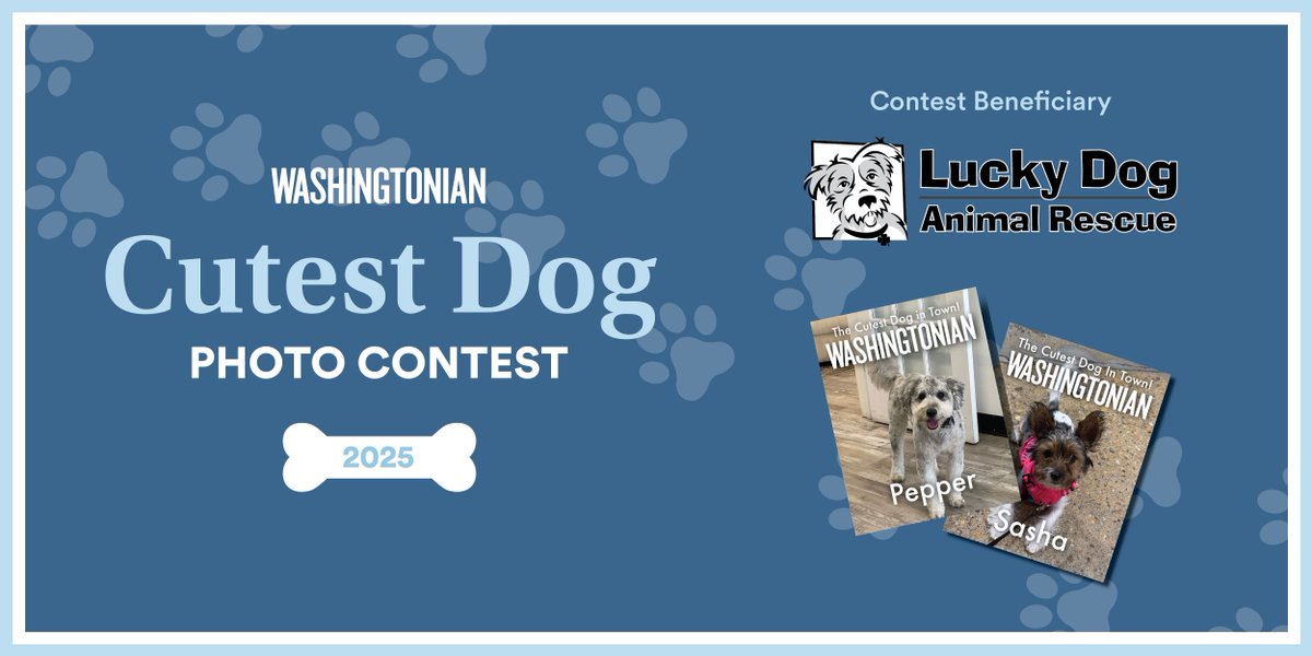 washingtonian's tweet photo. Prove your pup is the cutest in DC! 🏆

You have until April 30 to enter Washingtonian’s Cutest Dog Photo Contest. Details here: https://t.co/KtXjOt3p1B https://t.co/a5mzZWVJLZ