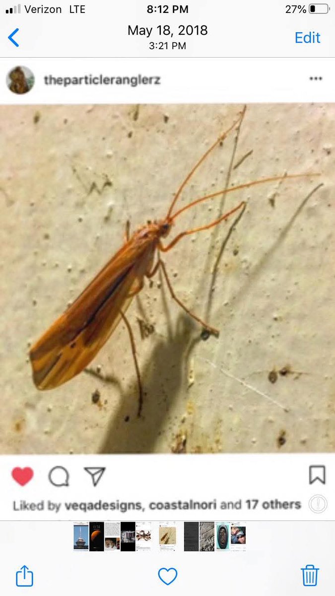 Barry aleo (@baleo) on Twitter photo 