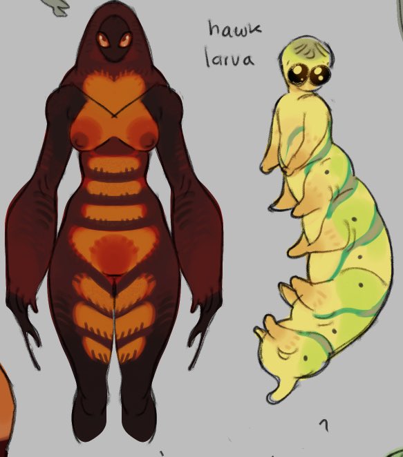 dialingnumber9's tweet image. Moth pixie and her larval form