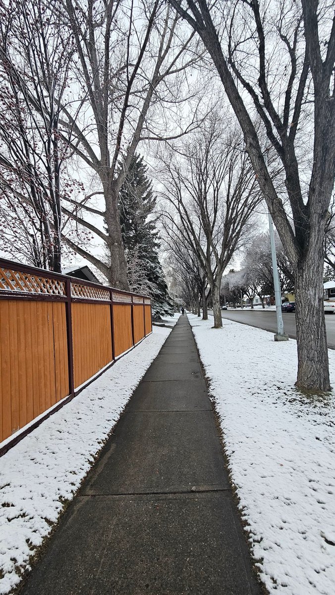 Brown pavement road as opposed to yellow brick road 🪾