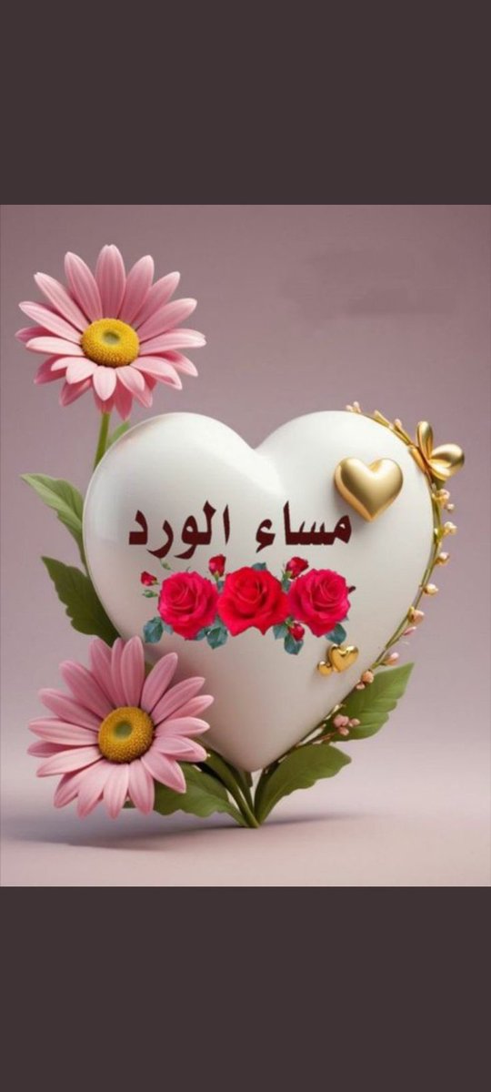 نجديةالهواء (@aynwrhh) on Twitter photo 