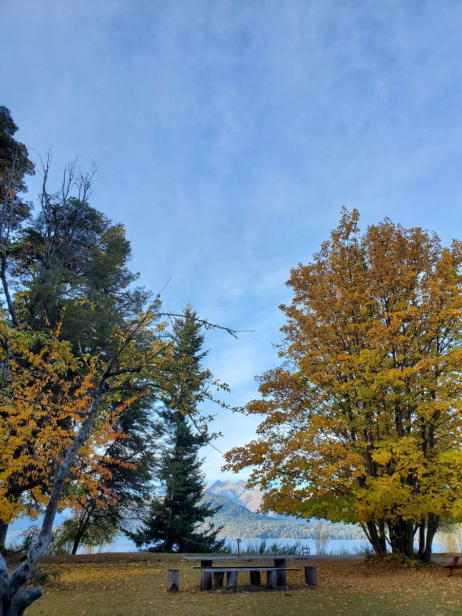 flivotravel's tweet photo. @Maipi Y les falto un viajecito al sur en otoño🍂 https://t.co/QggZswGPMX