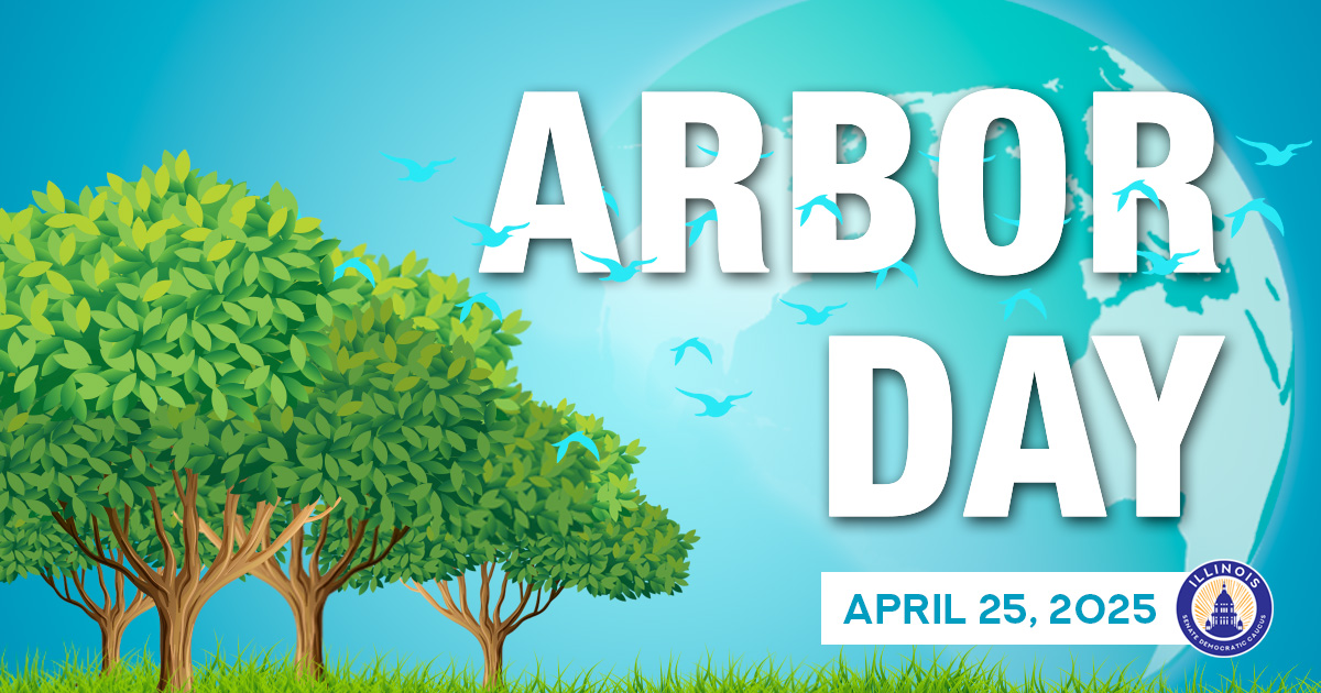 senatorellman's tweet photo. Celebrate Arbor Day by planting a tree! Trees make communities healthier, cleaner &amp; more resilient by:
🌦️ Reducing air &amp; water pollution
🌡️ Cooling urban heat islands
🌊 Protecting against flooding
🏘️ Increasing the livability of neighborhoods
Learn more: https://t.co/JC1qI67HGU. https://t.co/1GBFLi2ue2