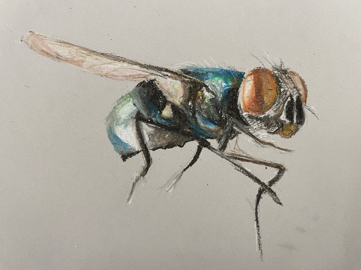 A students first attempt at oil pastels today 🦋. I can’t wait to see this work develop. Very exciting times ahead. #skills
