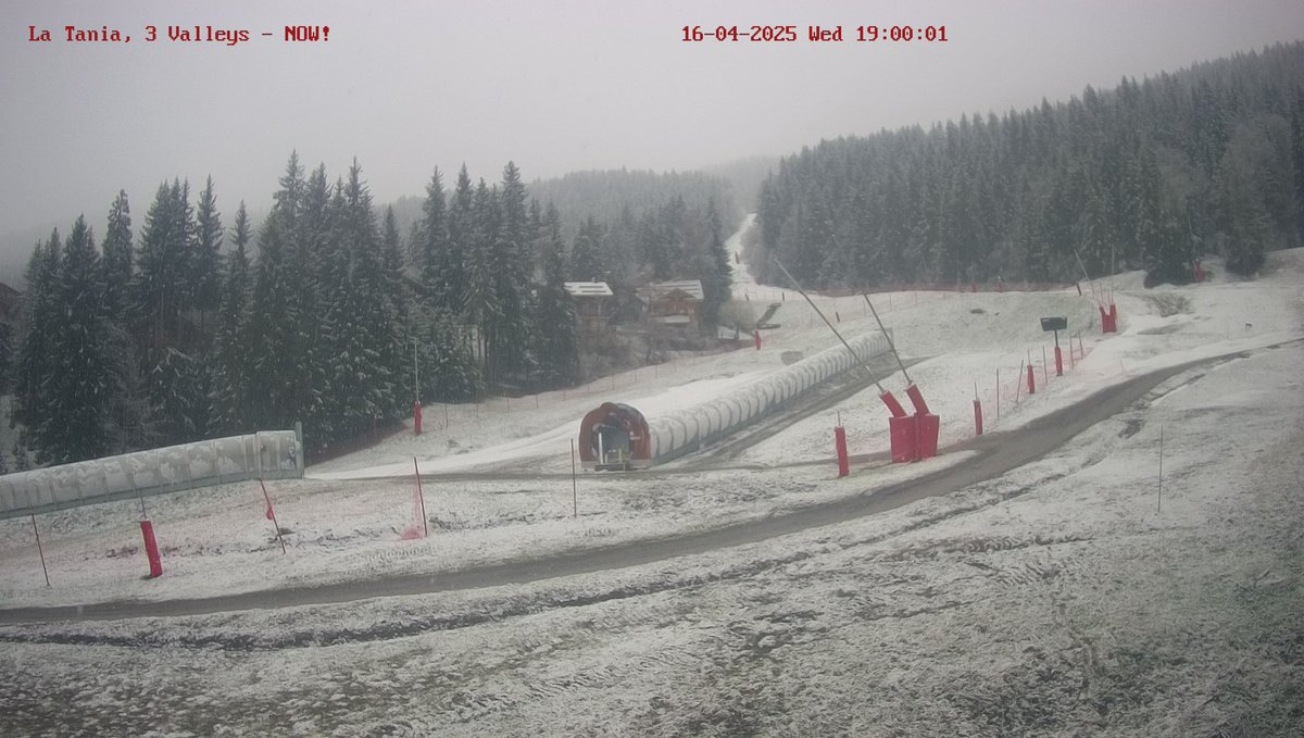 La Tania tweet media