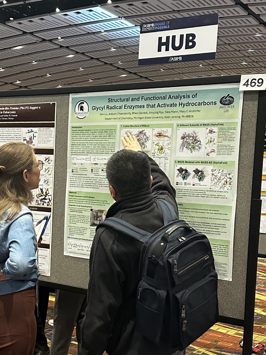AndorferLab's tweet image. Our graduate students and post-docs showcased Andorfer lab’s research on various aspects of X-succinate synthases; including mechanistic studies, structural analysis, and protein engineering, at #ASBMB25, contributing to the growing biocatalysis and chemical biology community!