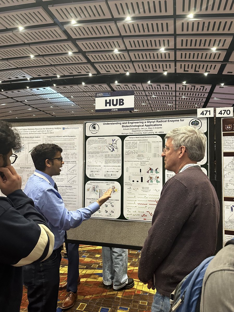 AndorferLab's tweet image. Our graduate students and post-docs showcased Andorfer lab’s research on various aspects of X-succinate synthases; including mechanistic studies, structural analysis, and protein engineering, at #ASBMB25, contributing to the growing biocatalysis and chemical biology community!