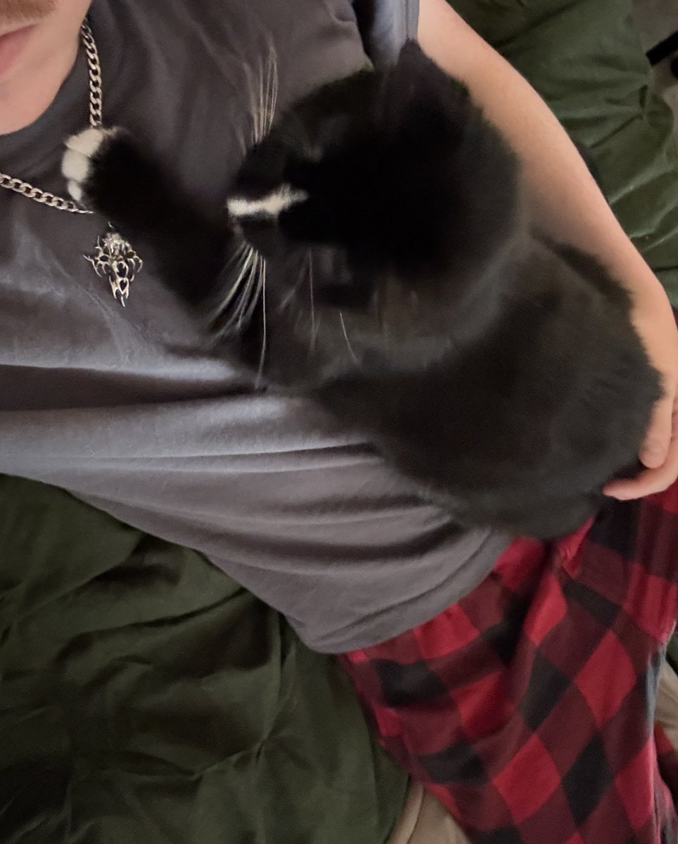 no work means having the laziest day possible