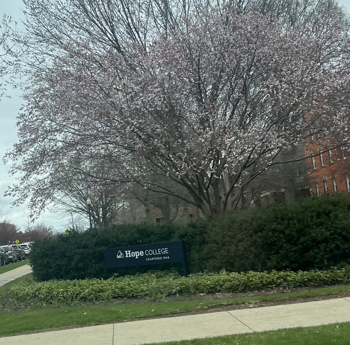 Eeva Luoma (@eevaluoma2026) on Twitter photo Had a great visit with <a href="/HopeCollegeSB/">Hope Softball</a> yesterday! I loved the atmosphere and culture hope has. Thank you <a href="/Brander_HopeSB/">Michelle Brander</a> for meeting with me and showing me around. Roll Dutch 💙🧡
<a href="/T2Smigiel/">T2Smigiel</a> Had a great visit with <a href="/HopeCollegeSB/">Hope Softball</a> yesterday! I loved the atmosphere and culture hope has. Thank you <a href="/Brander_HopeSB/">Michelle Brander</a> for meeting with me and showing me around. Roll Dutch 💙🧡
<a href="/T2Smigiel/">T2Smigiel</a>