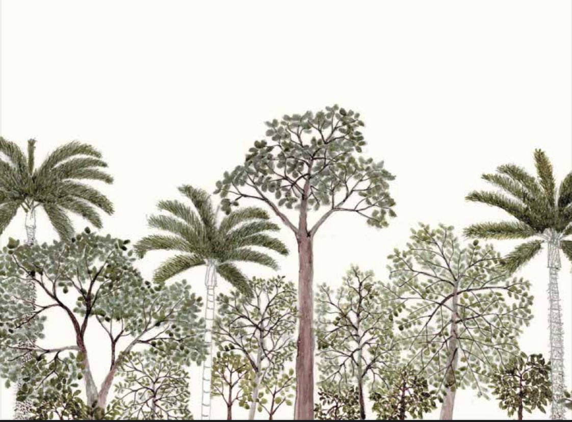 Con profundo dolor despedimos a Abel Rodríguez, el sabio indígena de la comunidad Nonuya que enseñó al mundo a ver y nombrar las plantas de la Amazonía a través del conocimiento ancestral🌿🕊️

Foto: Abel Rodríguez y Tropenbos International para el informe “Common Ground”