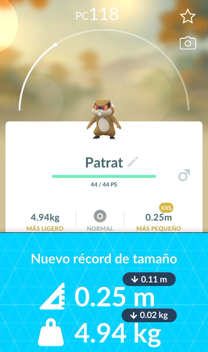 Juan Zempeda tweet media