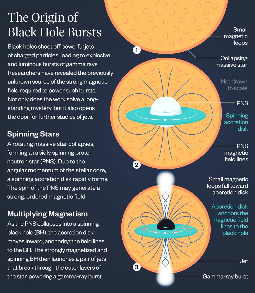 Recent research from #FlatironCCA sheds light on the source of black hole bursts. Read more: simonsfoundation.org/2024/11/18/we-… #science #astrophysics