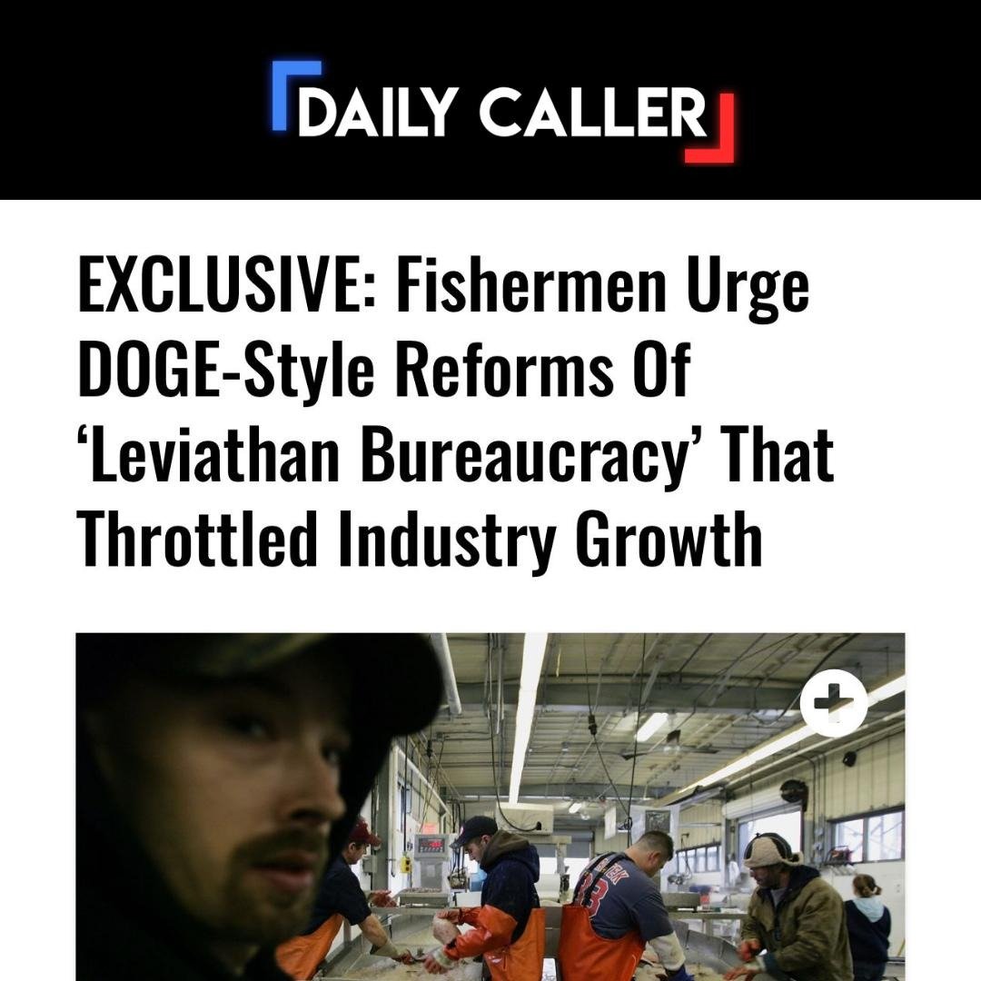 NE Fishermen's Stewardship Assoc. (@fishstewardship) on Twitter photo 🚨BREAKING: We sent a letter to <a href="/elonmusk/">gorklon rust</a> and <a href="/DOGE/">Department of Government Efficiency</a> calling for a thorough investigation into the unchecked fishing bureaucracy of National Oceanic and Atmospheric Administration (NOAA). 🚨BREAKING: We sent a letter to <a href="/elonmusk/">gorklon rust</a> and <a href="/DOGE/">Department of Government Efficiency</a> calling for a thorough investigation into the unchecked fishing bureaucracy of National Oceanic and Atmospheric Administration (NOAA).