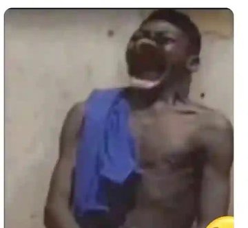 danieldane101's tweet image. Na which ponzi person fit do slf