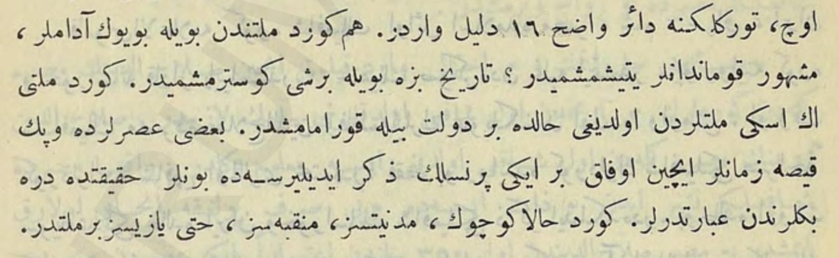 Doktor Rıza Nur, Salahaddin Eyyubî'nin nesebi hakkındaki iddiaları tedkik ettikten sonra kendi tefsirini yapıyor:

Hem Kürd milletinden böyle büyük adamlar, meşhur kumandanlar yetişmiş midir? Tarih bize böyle bir şey göstermiş midir? Kürd milleti en eski milletlerden olduğu hâlde