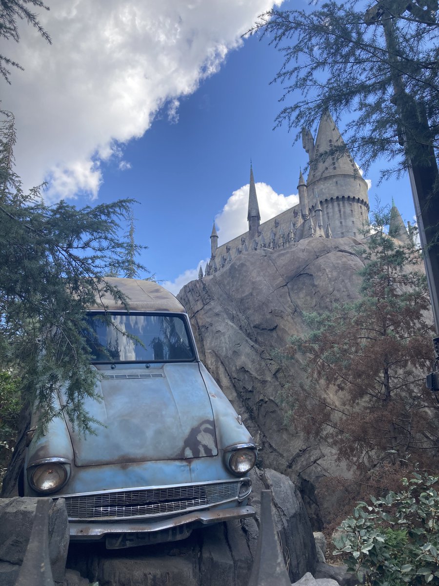 the1destiny's tweet photo. 🪄🧚‍♀️🍄🏎️ https://t.co/qKqRj4GfDI
