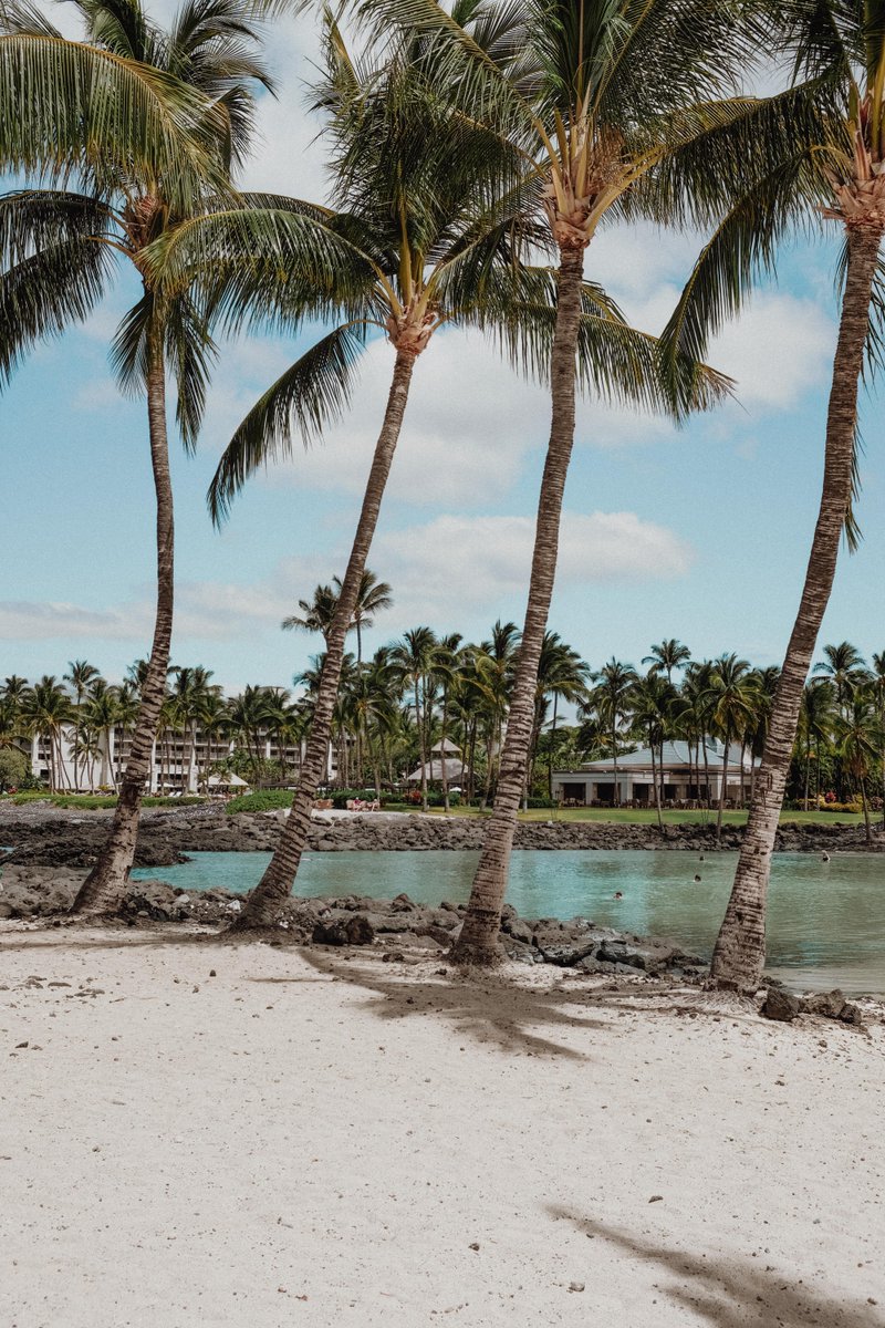 Step into the rhythm of Hawai‘i. 🌊 Join our Cultural Walk and discover the rich history and legends of the Kohala Coast. spkl.io/6018fcaFE

📷 @everdayprursuits