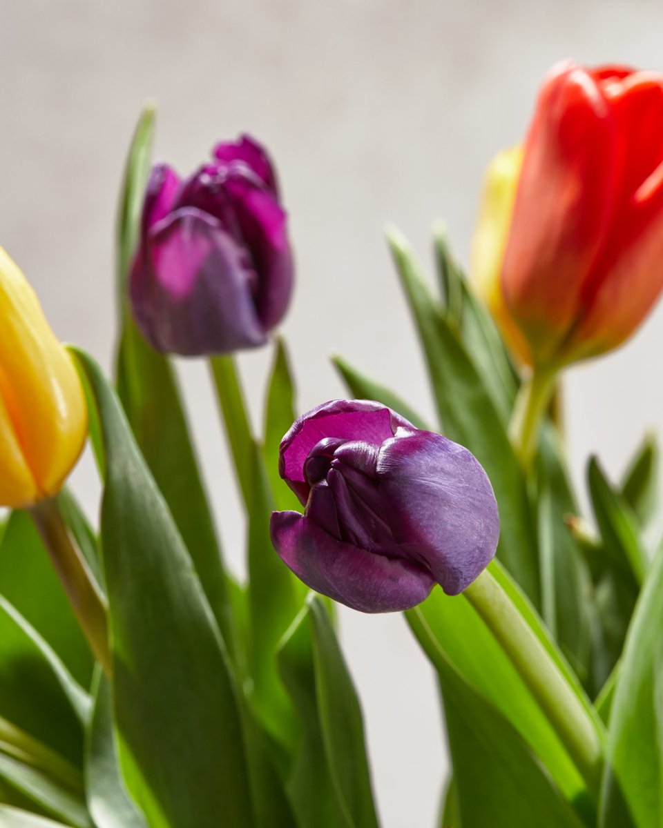 FTD Flowers tweet media