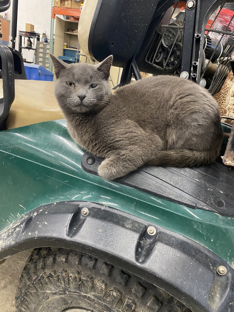 Ryan Arthur tweet media