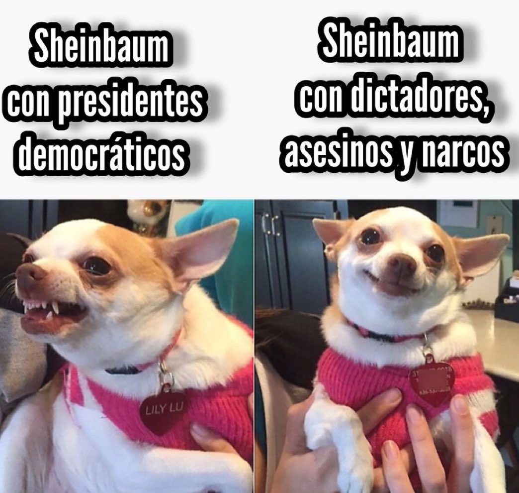 🇲🇽 | Meme del día — <a href="/EmmaRincon/">Emmanuel Rincón</a>