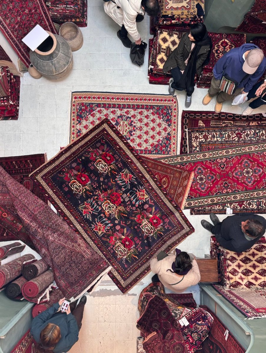 zheeshowroom's tweet photo. Eyes down, on the ground.
https://t.co/OehyUEOb31
#PersianRugs #HistoricBazaar
#TraditionaRugs #HandcraftedArt
#islamicart #interiordesigr https://t.co/Ww4T3CYBc8
