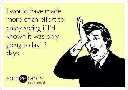 Haha who’s with me