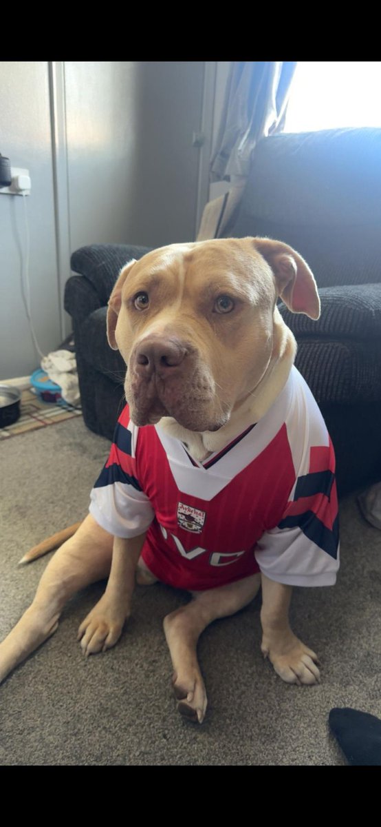 darren jones tweet media