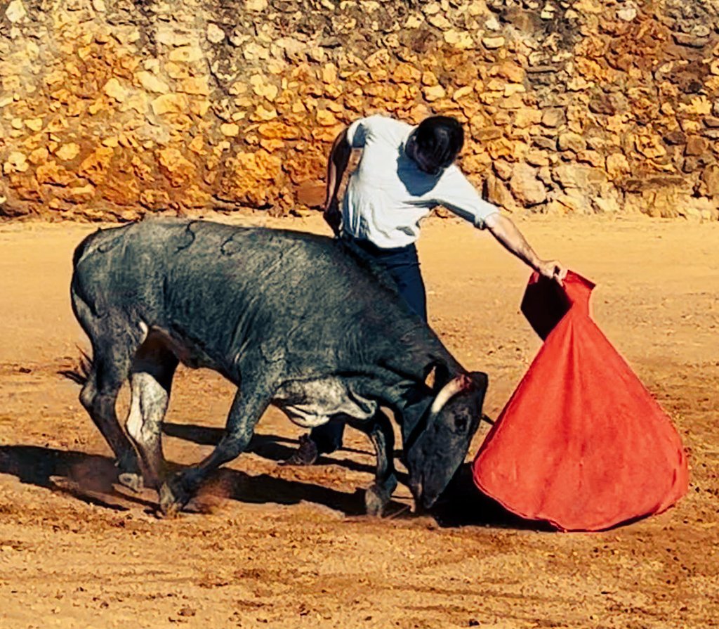 Damian Castaño tweet media