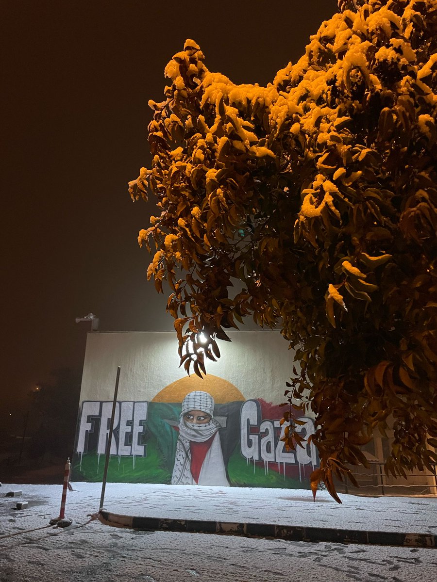 Mardin’den Kudüs’e uzanan akademik bir ses: Artuklu Üniversitesi Filistin’in yanında!
#SiyonizmeKarşıCesaret
<a href="/ibrahimozcosar/">ibrahim özcoşar</a> <a href="/mardinartuklu/">Mardin Artuklu Üniversitesi</a>