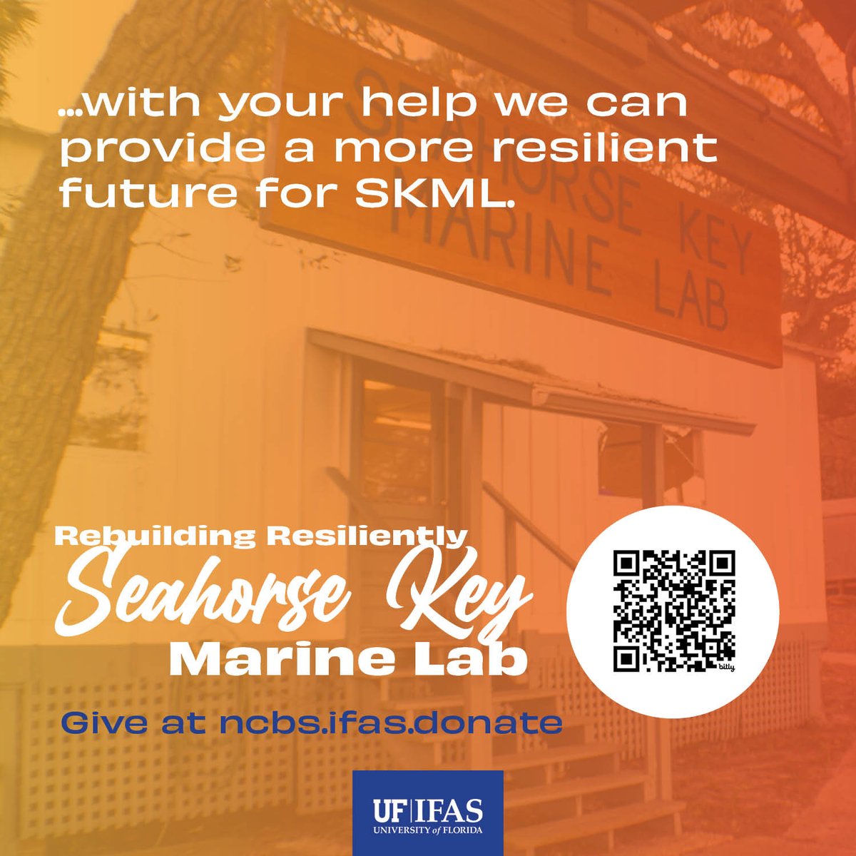 After Hurricane Helene devastated Seahorse Key Marine Lab, UF/IFAS is working to rebuild — stronger, sustainable, and storm-resilient. We need your help to raise $350,000 for a new solar-powered learning pavilion. Read more at 🔗 bit.ly/resilientSKML