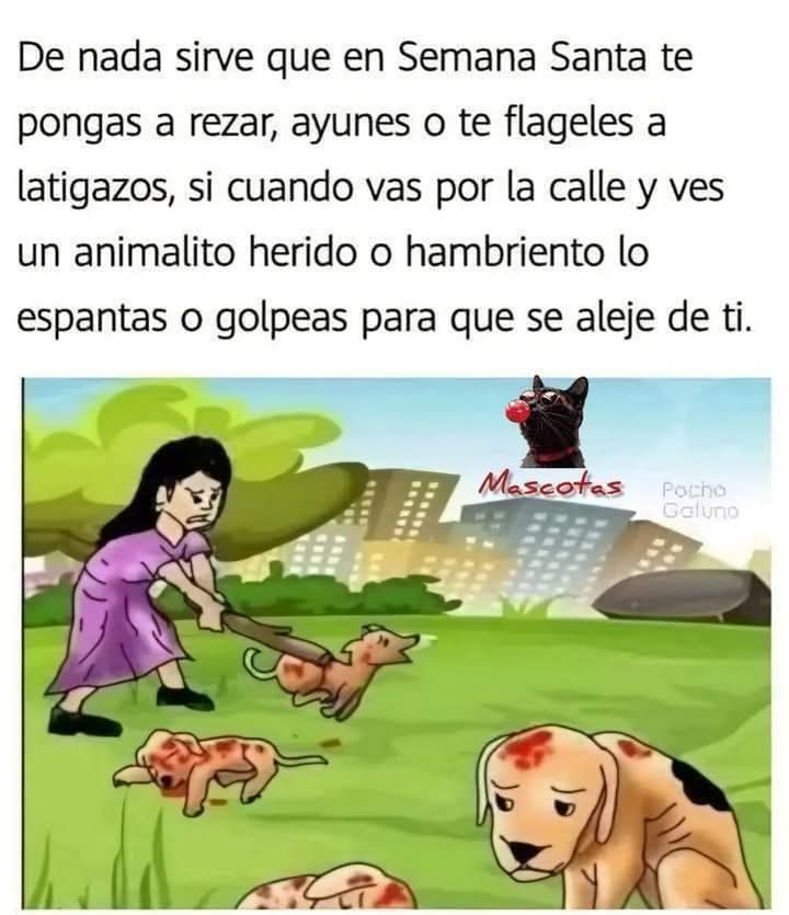 LicAnimalista's tweet photo. Muy cierto https://t.co/4oJ89afDtf
